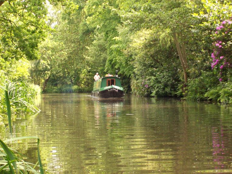 River Wey in Spring